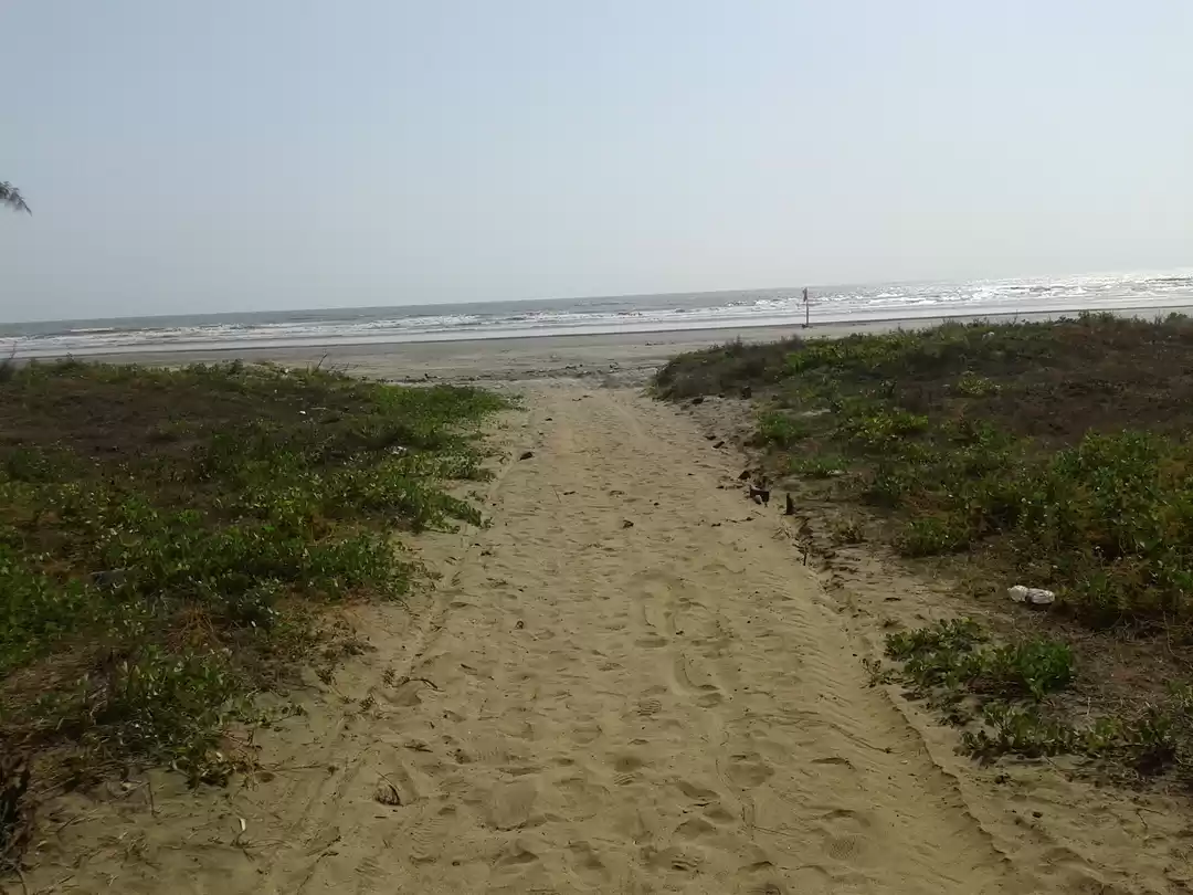 Photo of Divine Diveagar!
