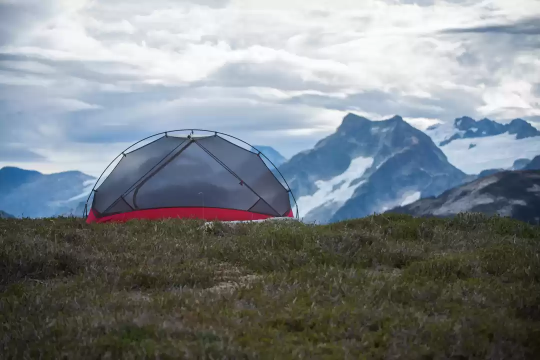 Photo of Into the Wilderness: