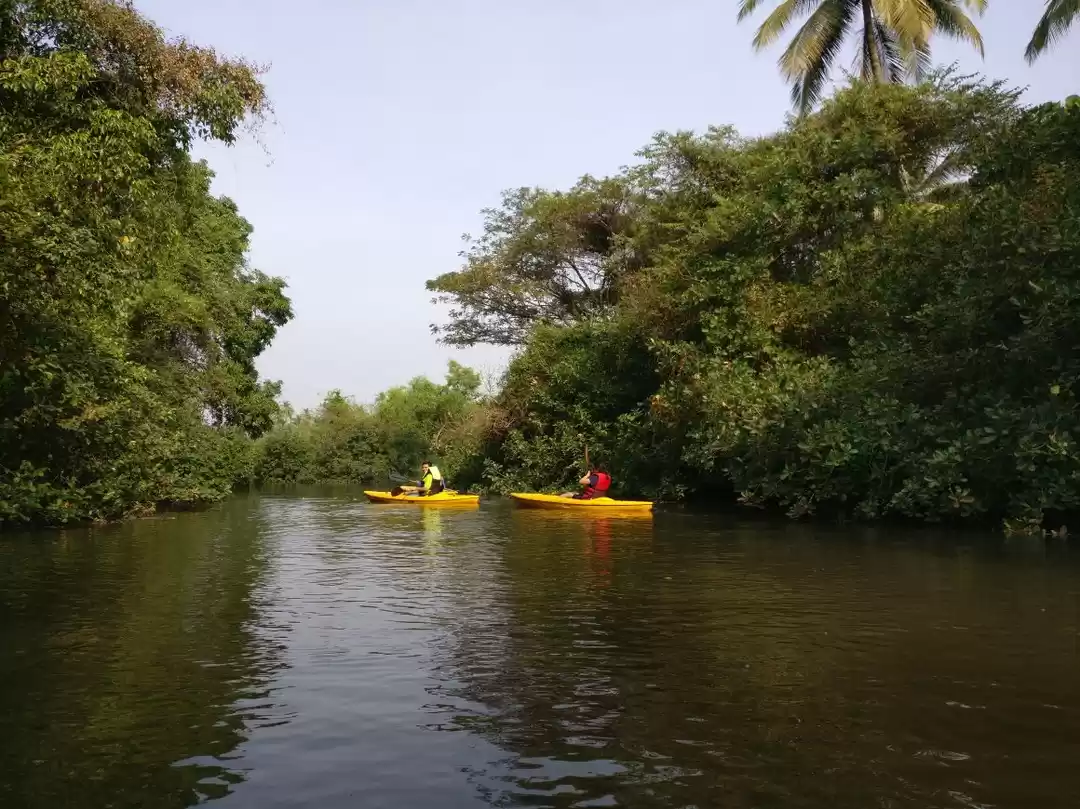 Photo of Goa Trip done differ