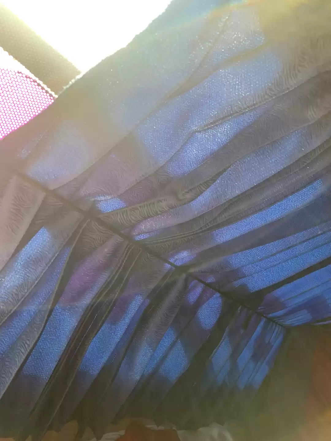 Photo of My Weekend Story - P