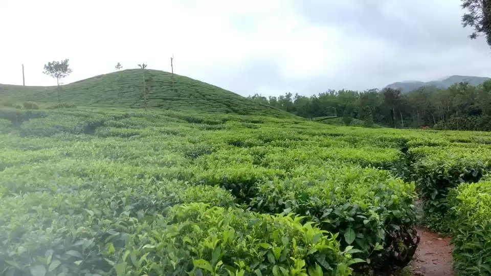 Photo of KUDREMUKH - Getting 