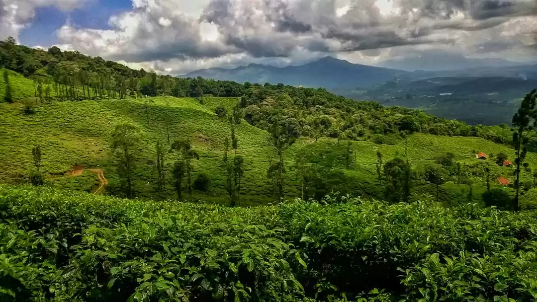 Photo of Wayanad - The Home o