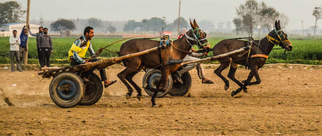 Photo of Kila Raipur Sports Festival – A Visual Treat of Rural Punjab