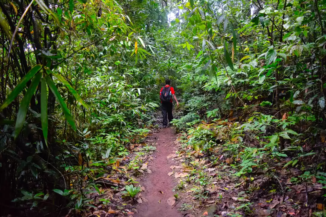 Photo of Trekking in Goa – Ex