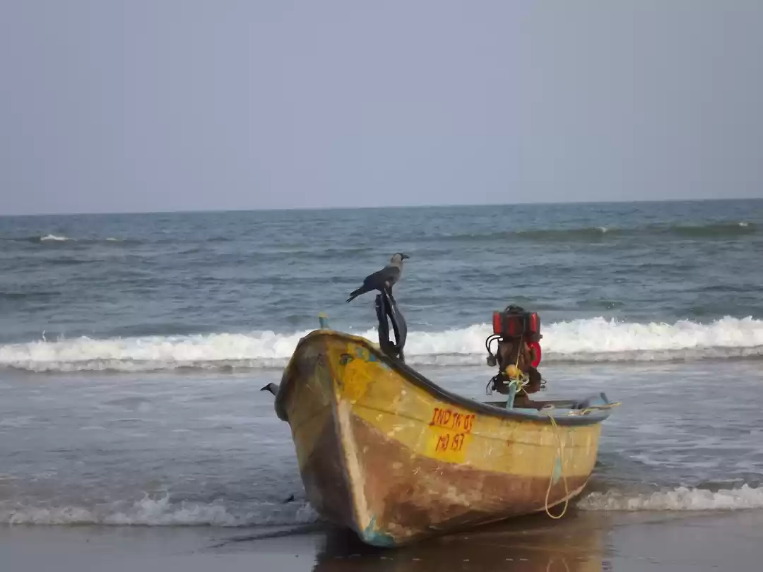 Photo of Fishermen Colony - L