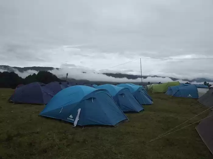 Photo of A Comprehensive Guid