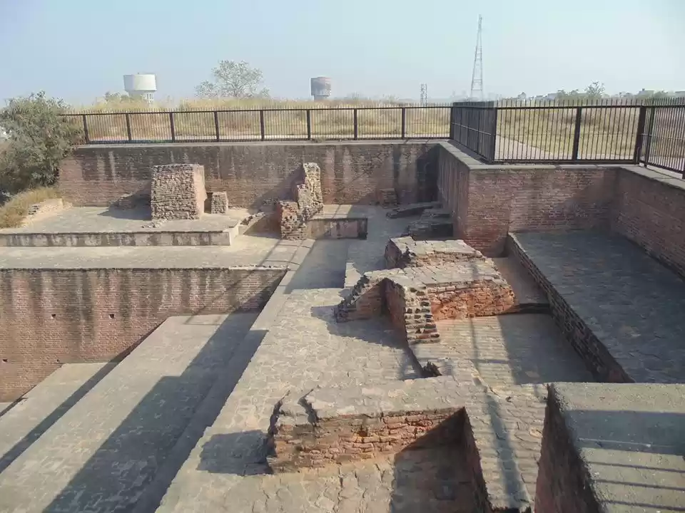 Photo of Trailing The Origins