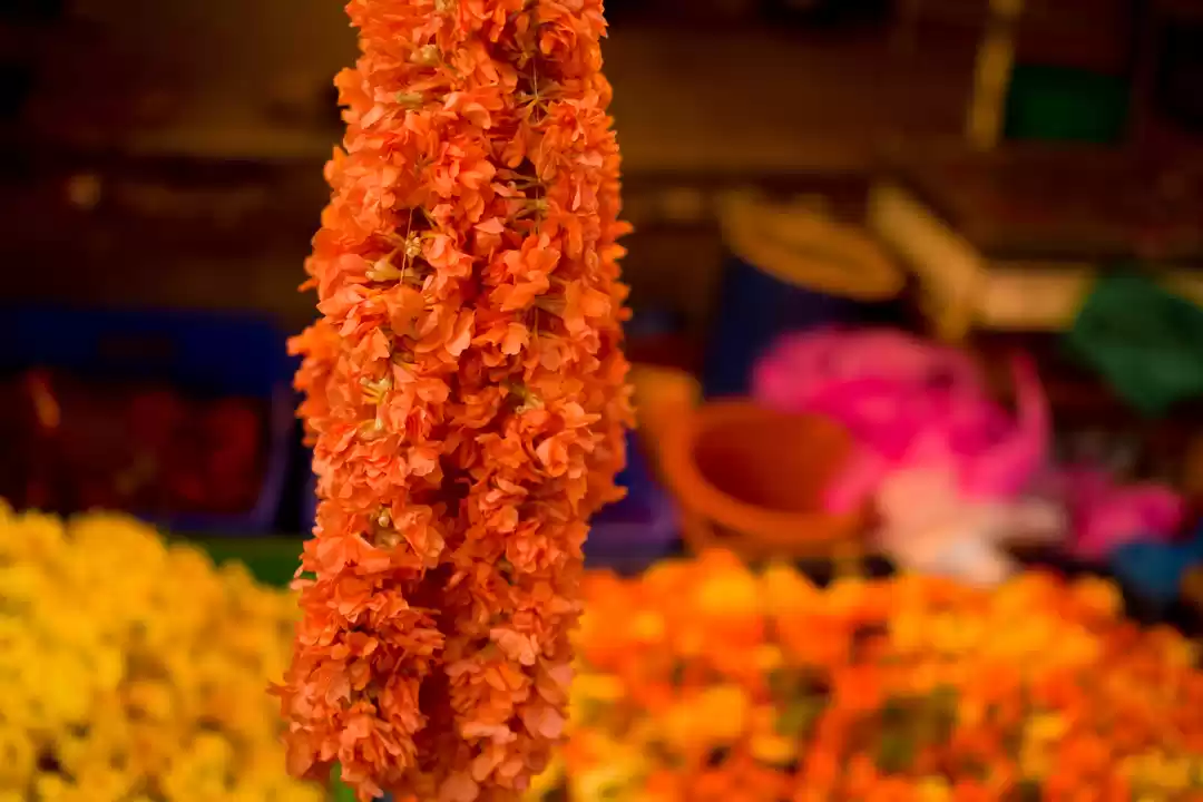 Photo of Chennai Tours - How 