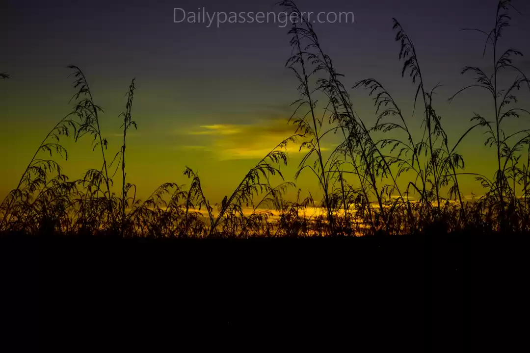 Photo of This Rustic Trail in