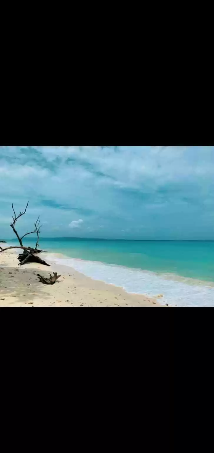 Photo of Why not Andaman as y