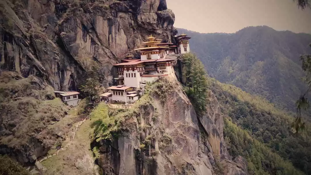 Photo of Tripping across the 