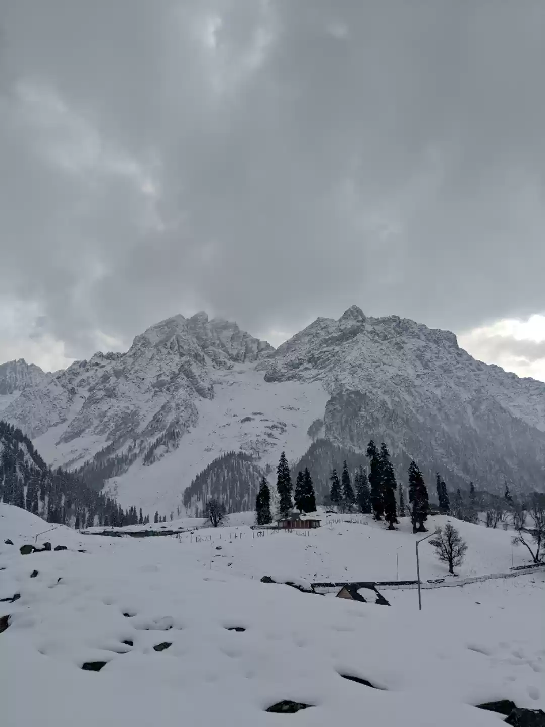 Photo of These pictures of So