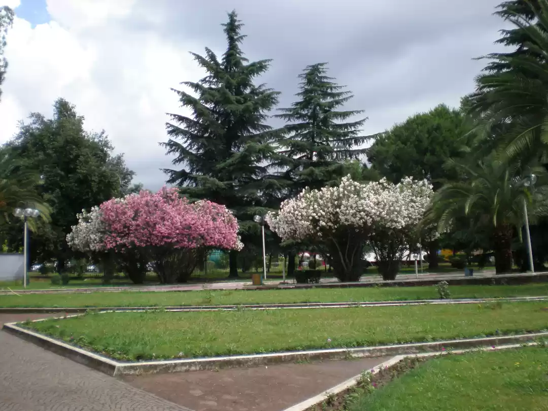 Photo of Tirana, a surprise