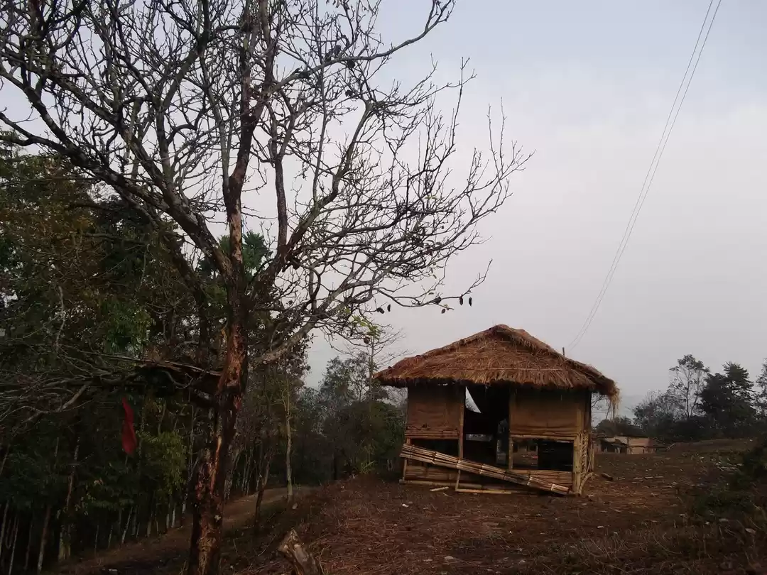 Photo of chuikhim_ New Villag