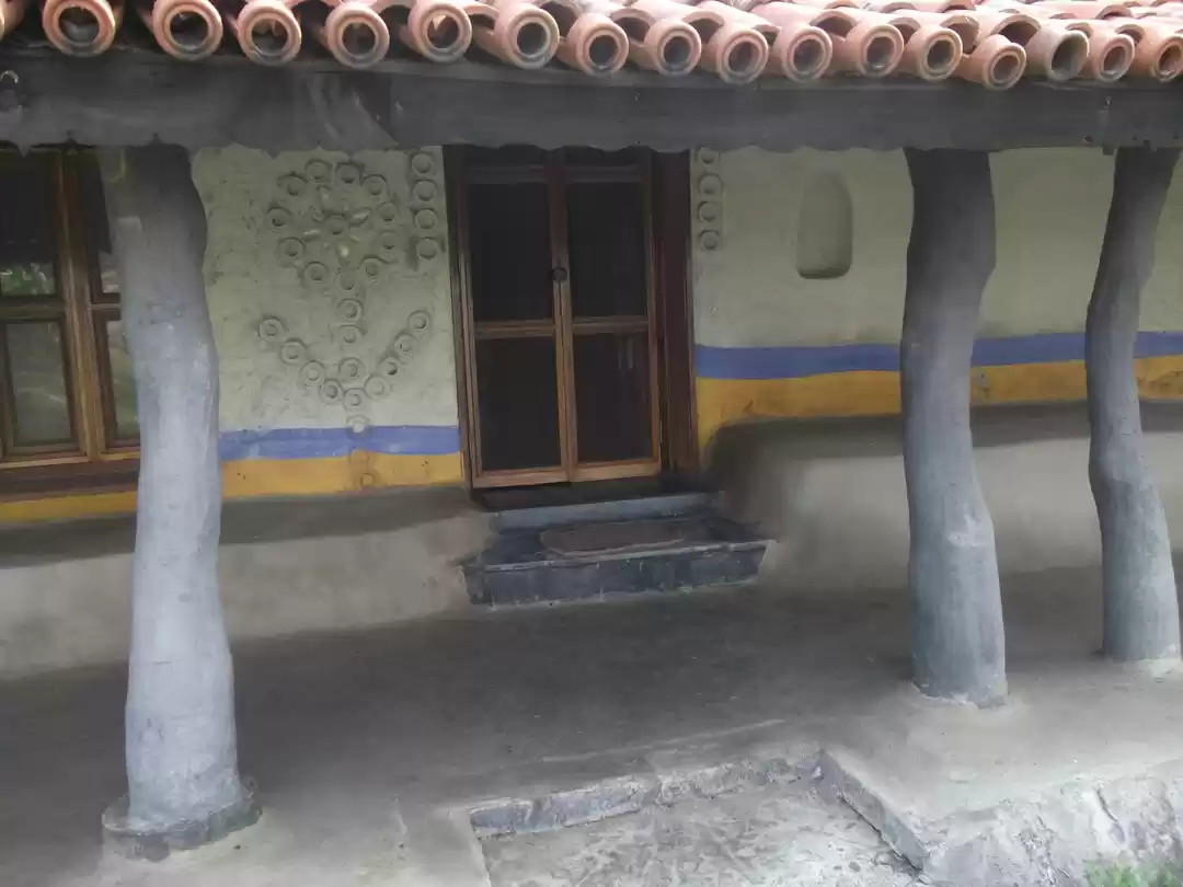 Photo of Sunderban_One And On