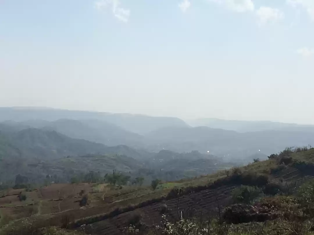 Photo of A trip to ‘Land Of M