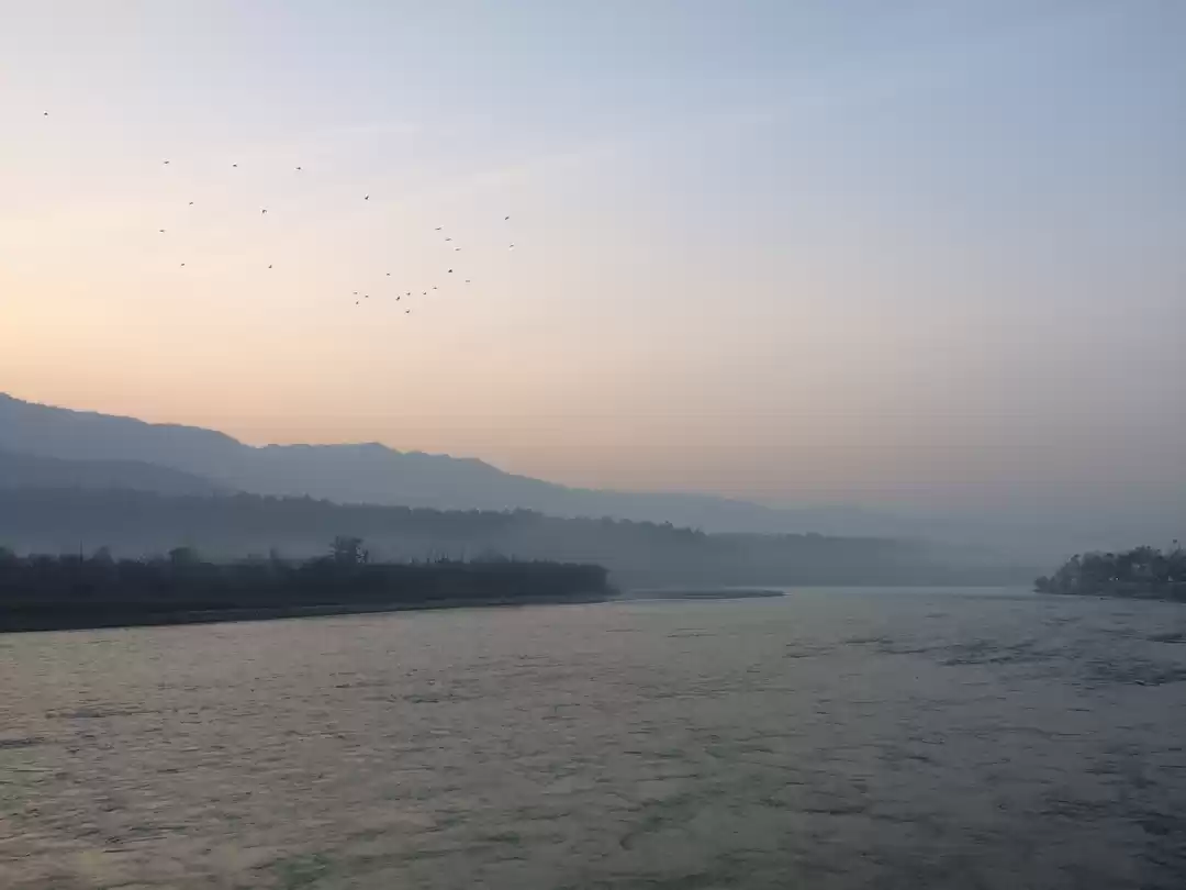 Photo of Where tranquillity f