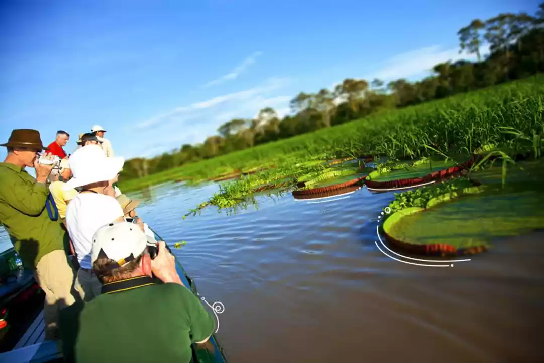 Photo of Explore the other si