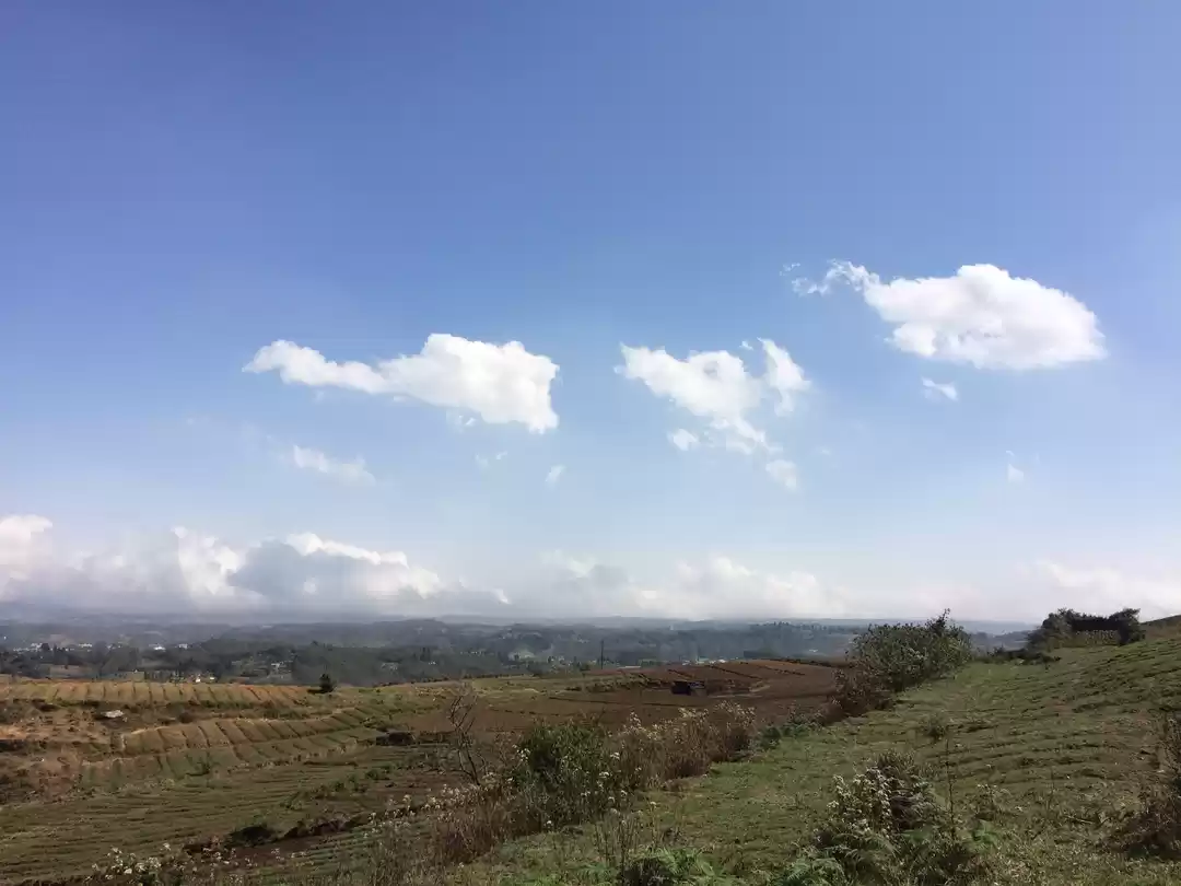 Photo of Half Filled, Half Em