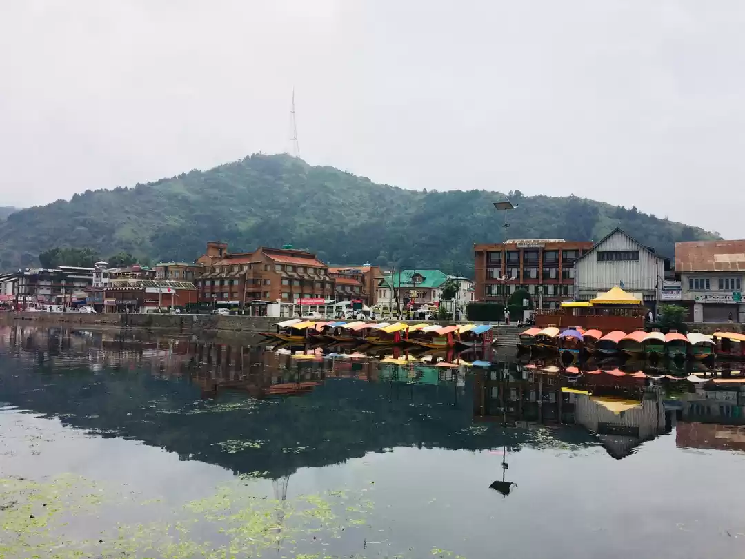 Photo of I had no plans and i