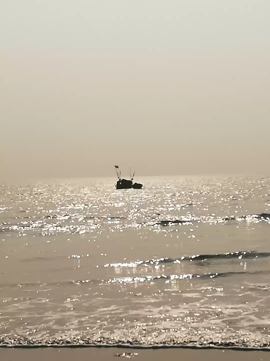 Photo of Hidden at plain sigh