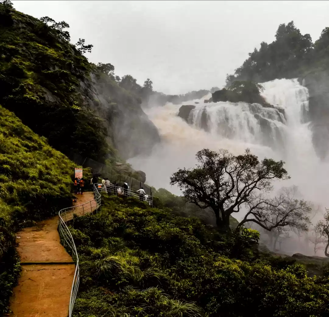 Photo of Coorg : Mountains, W