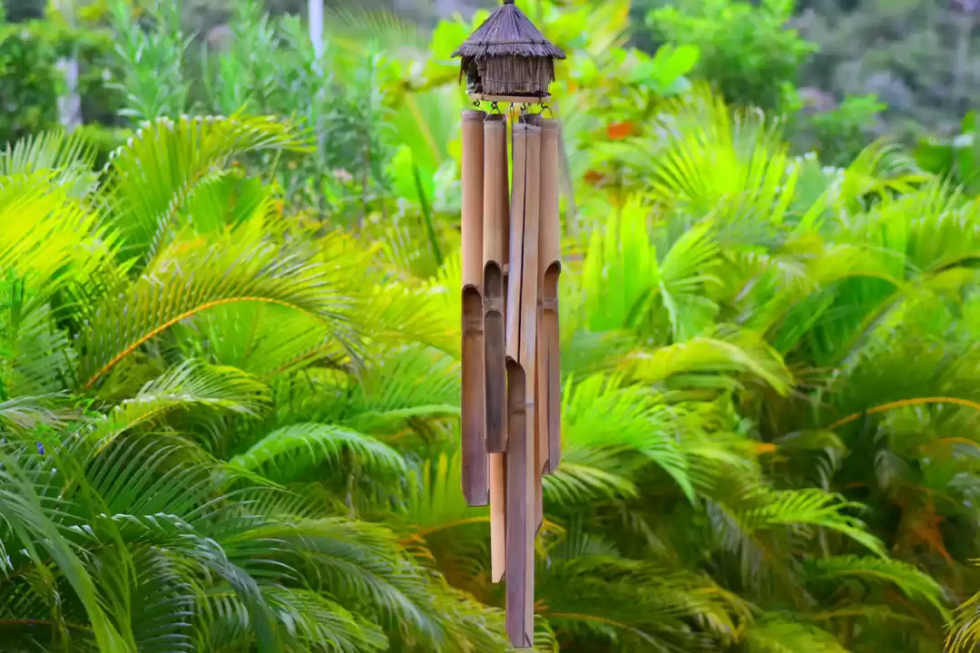 Photo of A life altering trip