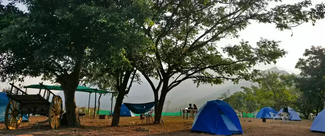 Photo of Perfect Winter Campi