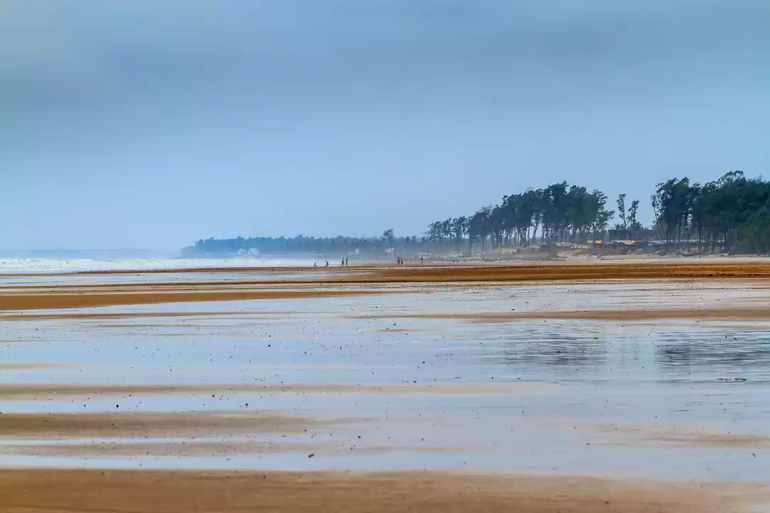 Photo of Tajpur Tales