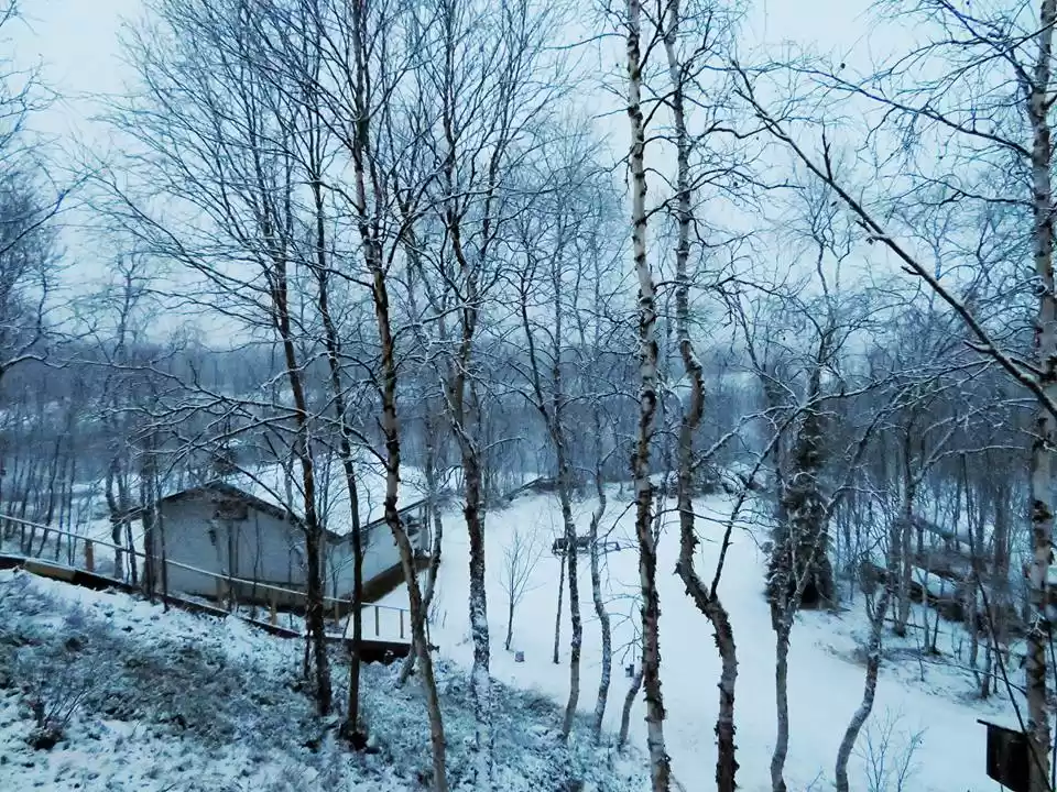 Photo of The Untouched Beauty