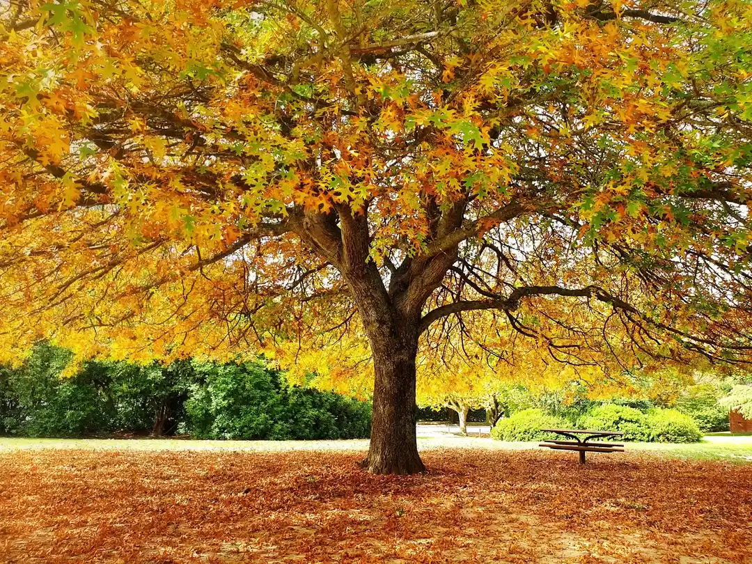 Photo of 5 Books Guaranteed t