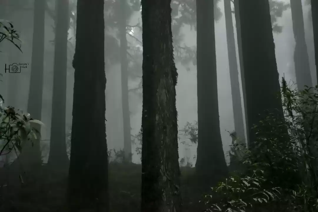 Photo of The Silent Village |