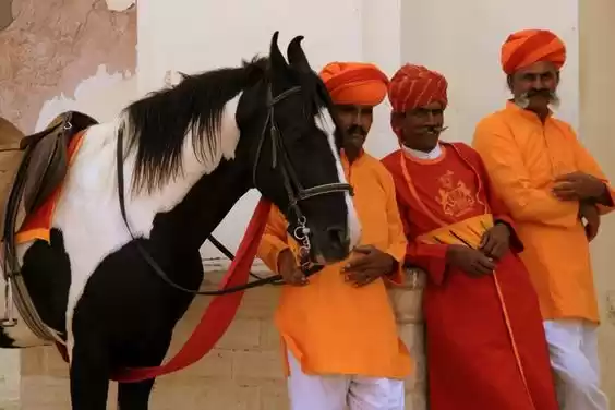 Photo of My dream to be a Kin