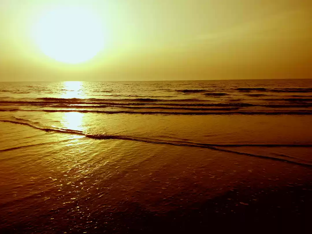 Photo of Daman Diary