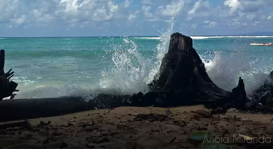 Photo of Neil Island, the tur