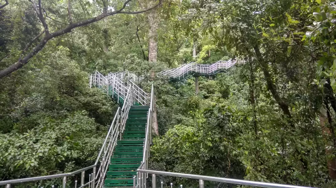 Photo of Tranquil Thenmala