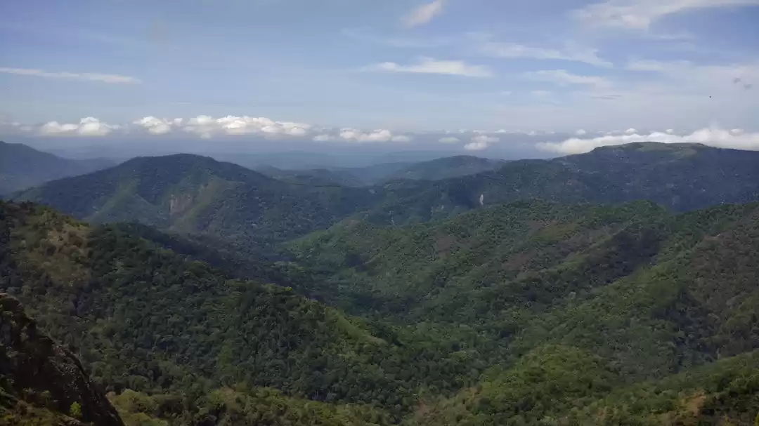 Photo of Picturesque Parunthu