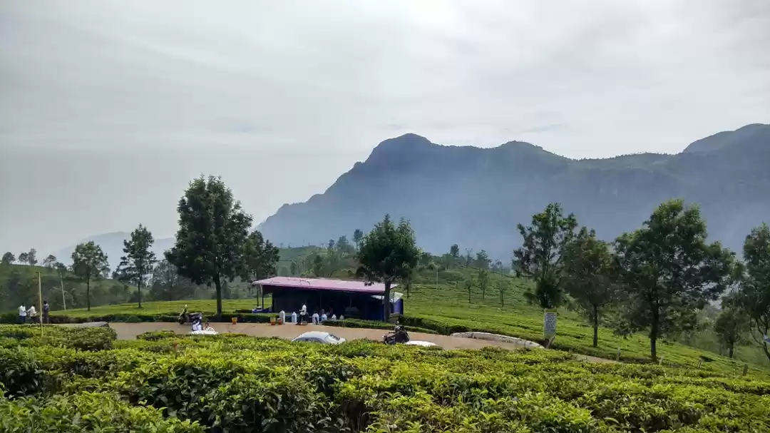 Photo of Golden Triangle of N