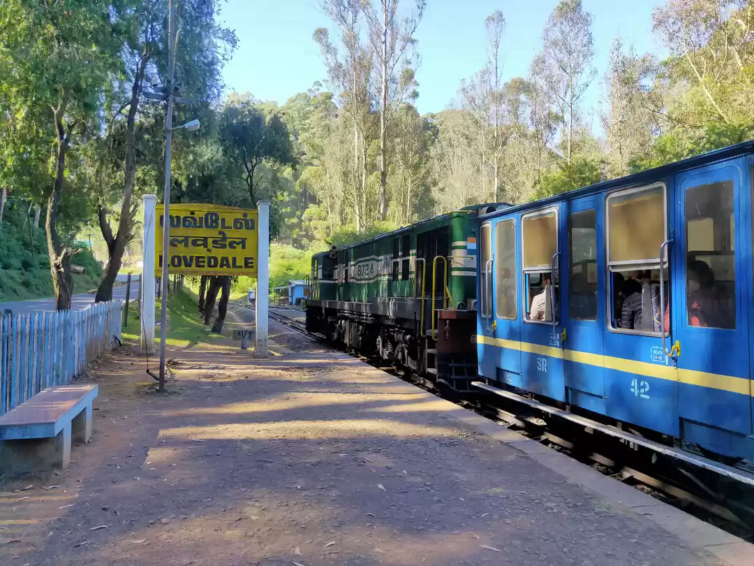 Photo of Road trip to Ooty
