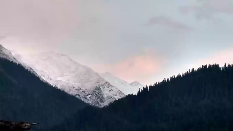 Photo of The Kasol Affair!