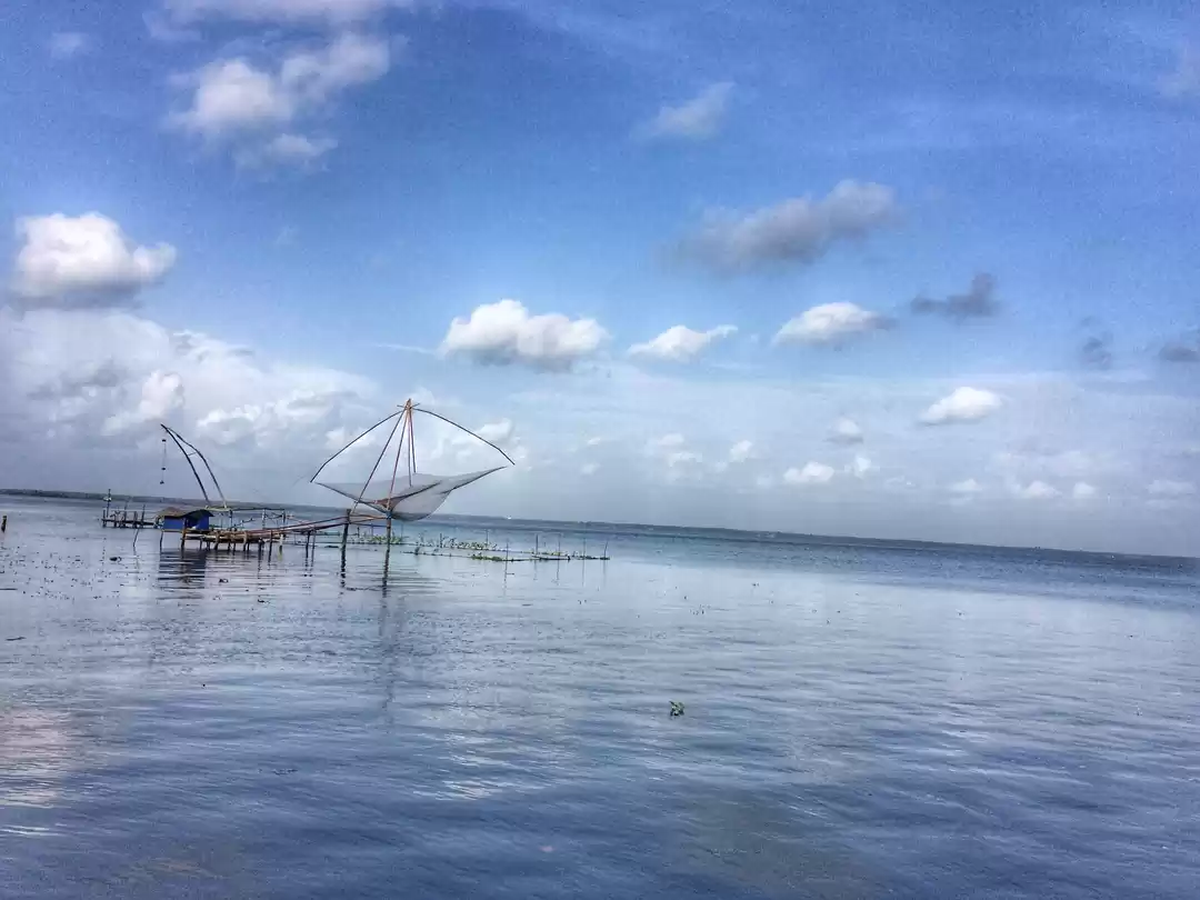 Photo of Unveiling the Charm 