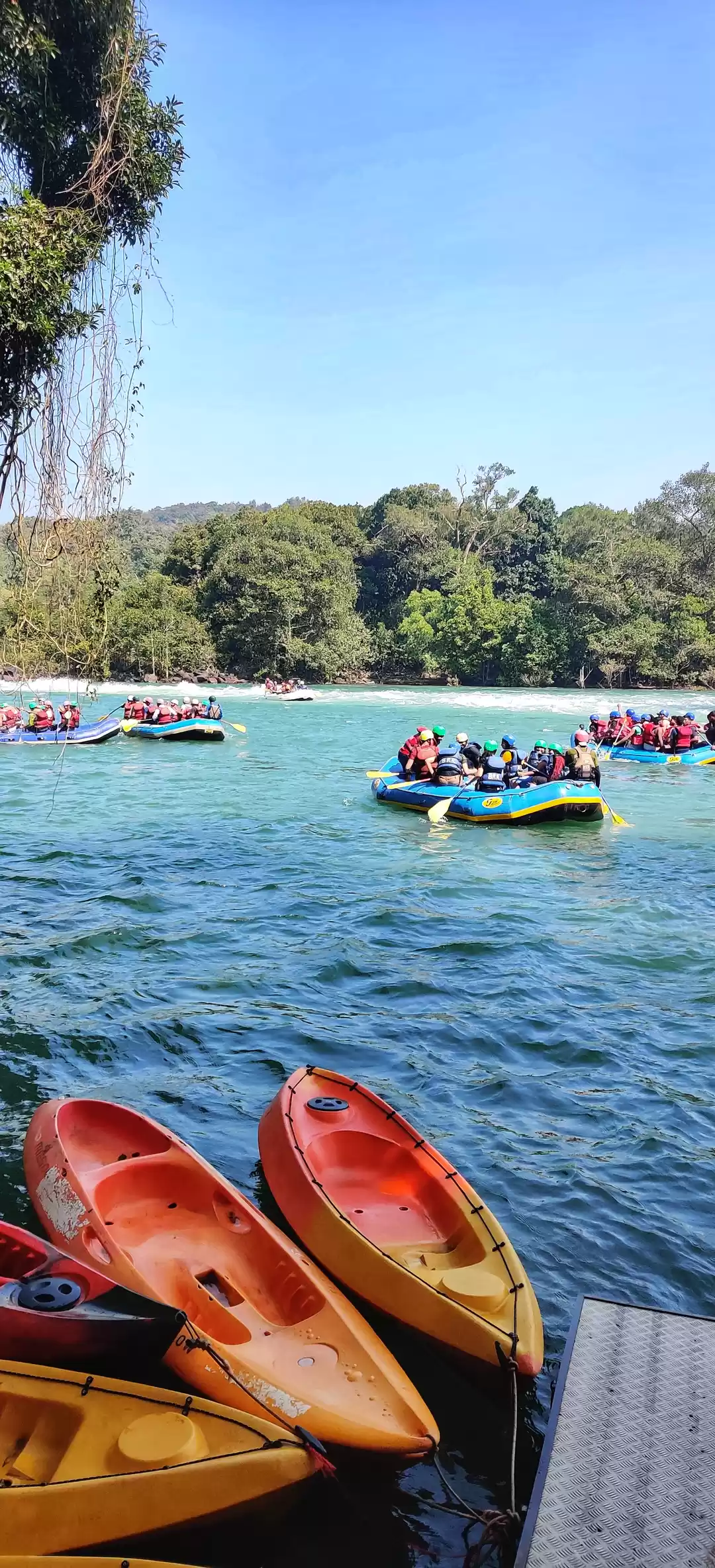 Photo of I Spent my New Year 