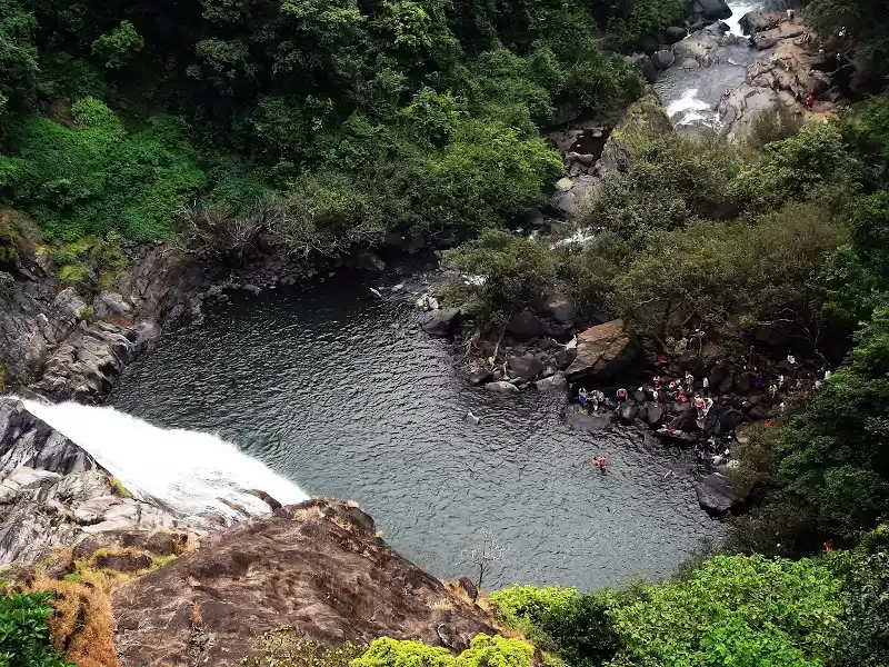 Photo of Hidden treasure in G