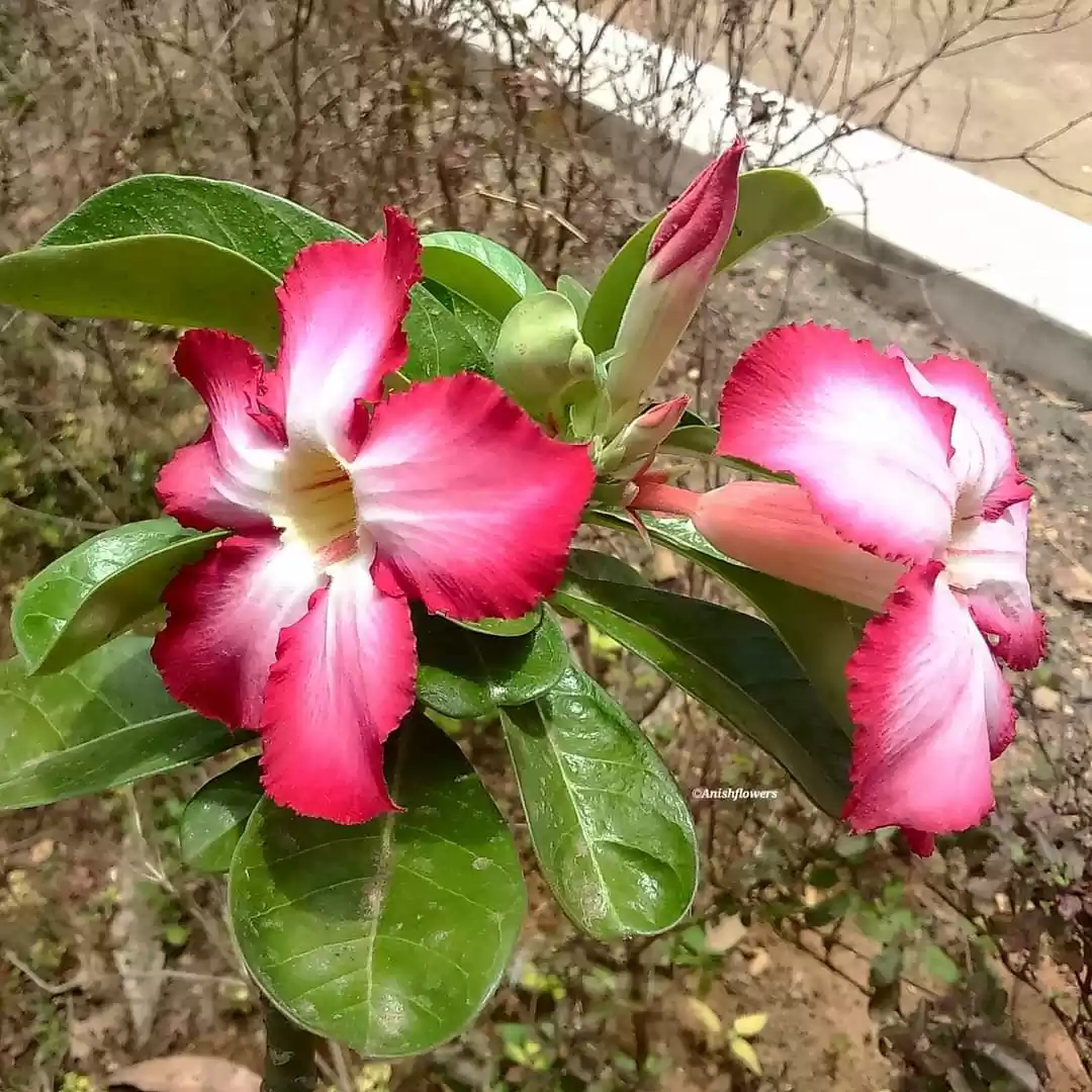 Photo of Beauty of nature