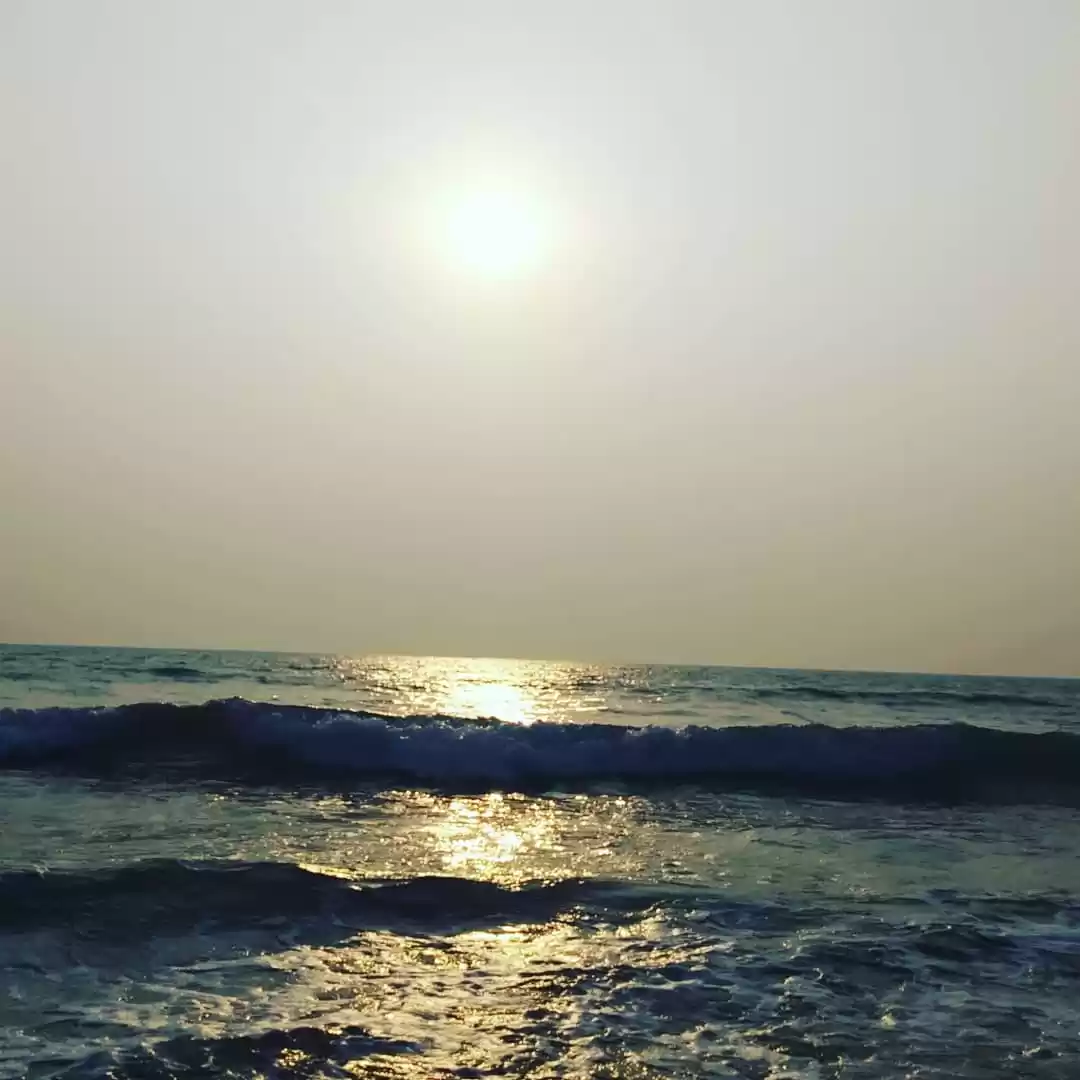 Photo of Amazing Trip