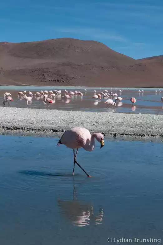 Photo of Small Wonders Of The