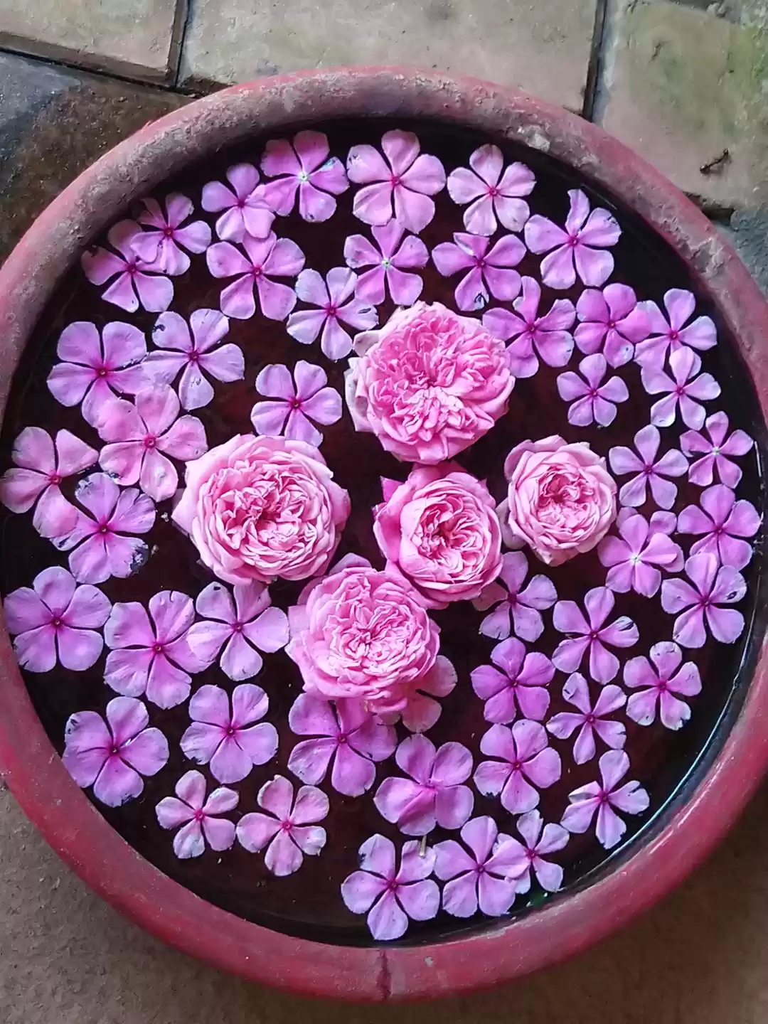 Photo of Chikale ! A must vis