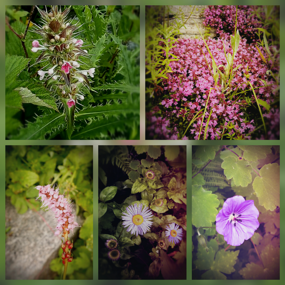 Photo of Spiritual Sojourn or