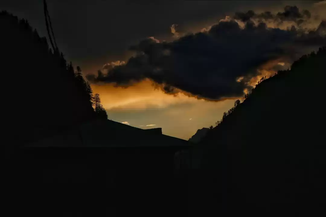 Photo of Pulga an Angelic Vil