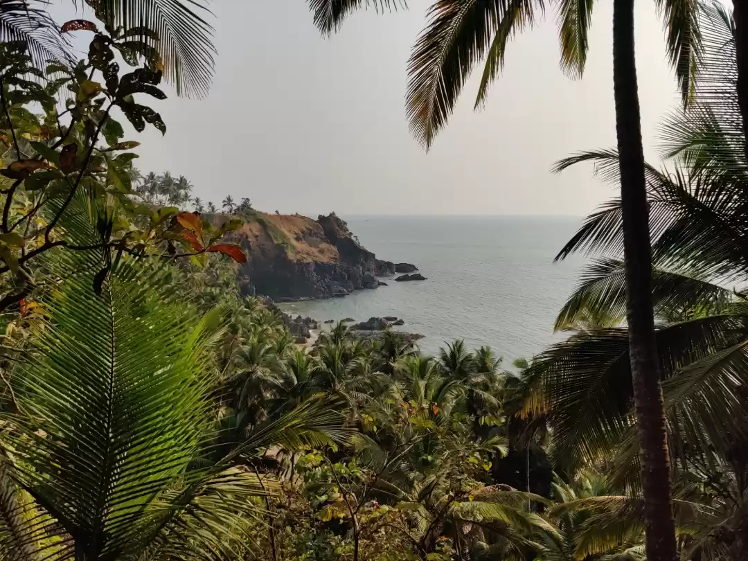 Photo of Seclusion in South G